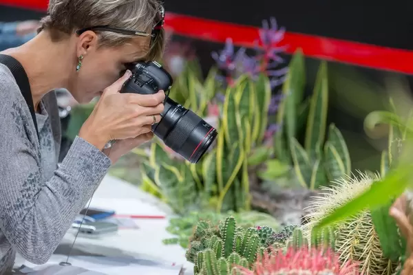 Ältere Frau fotografiert mit Objektiv verschiedene Kakteen