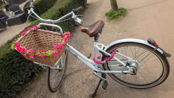 Altmodisches Fahrrad mit einem geflochtenen Korb mit Blumen