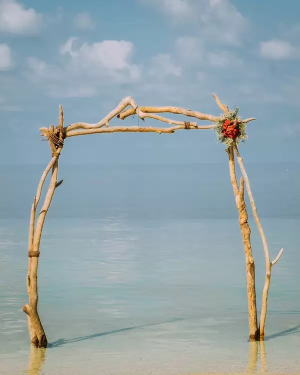 An arc made out of driftwood