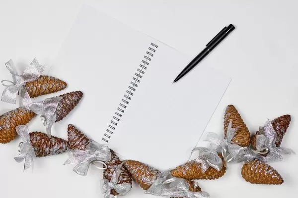 An empty notepad and decorative pine cones on the white background