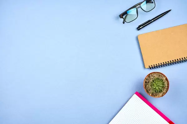 An office workspace with notepads, eyeglasses, and cactus plant