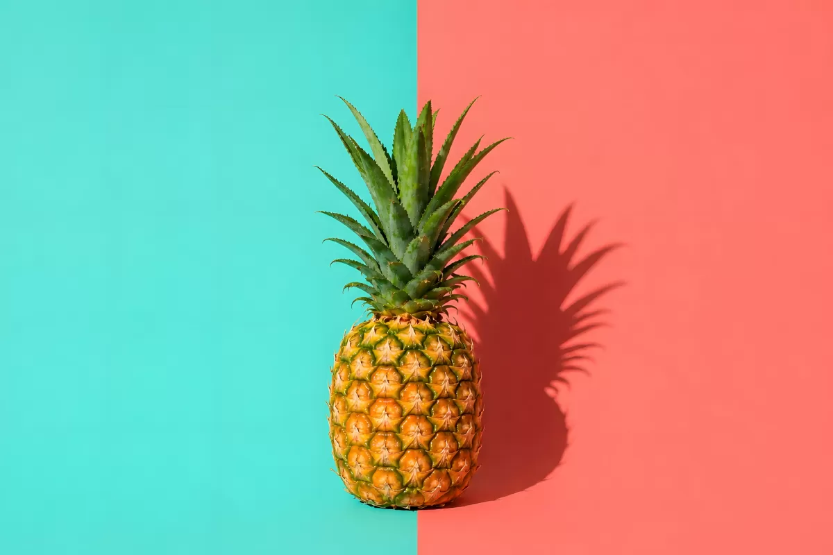 Ananas vor türkis-korallem Hintergrund mit Schatten