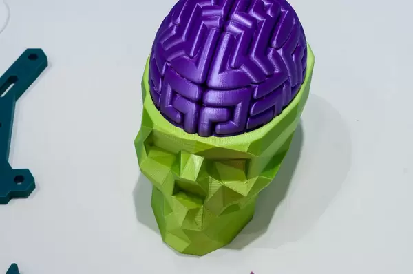 Angular skull with brain printed with a IIIP 3D printer