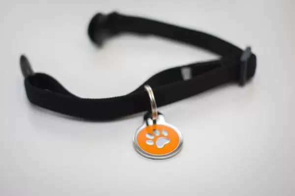 Animal Leash with Name Tag