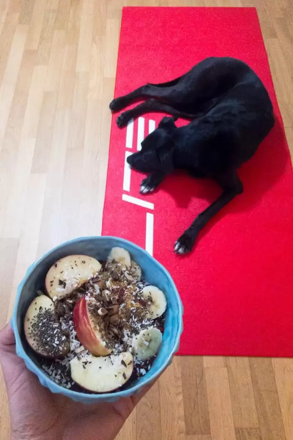 Äpfel mit Nüssen, Schokoraspeln und Kokosraspeln