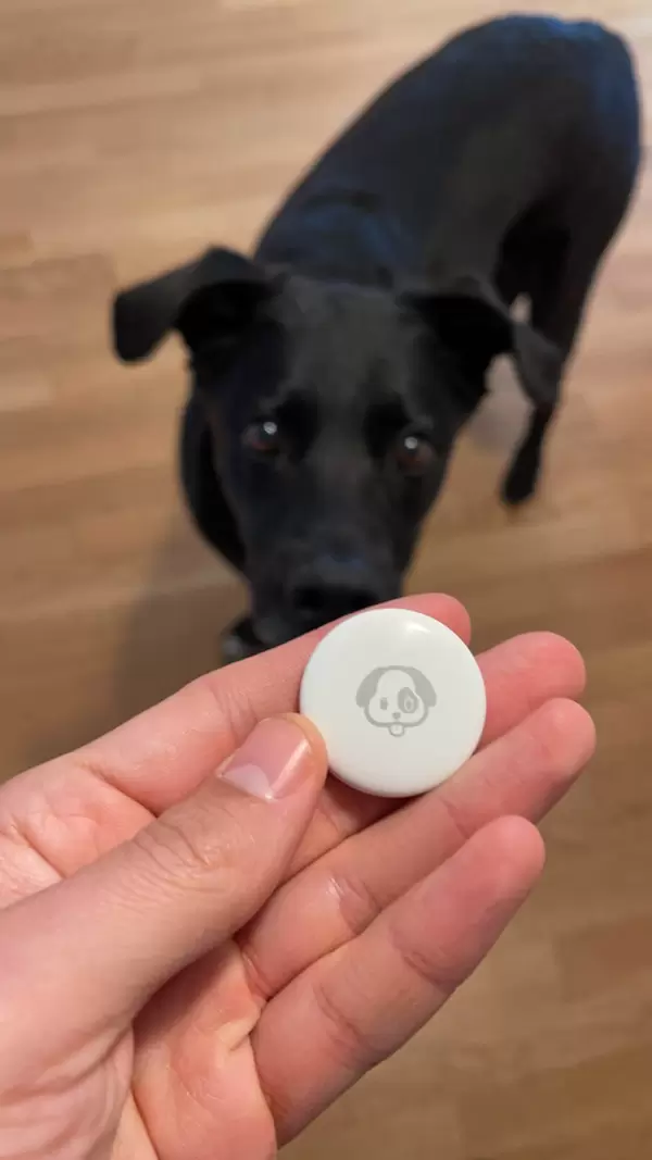 Apple AirTag mit Hund Emoji