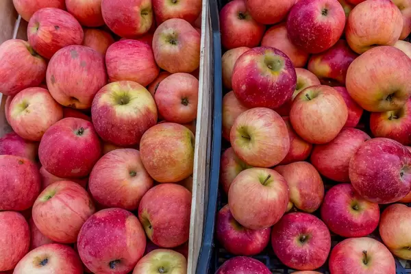 Apples on marketplace