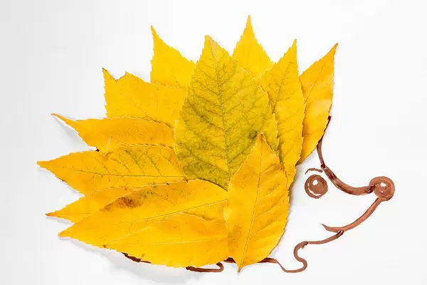 Applique hedgehog made of autumn yellow leaves (Flip 2019)
