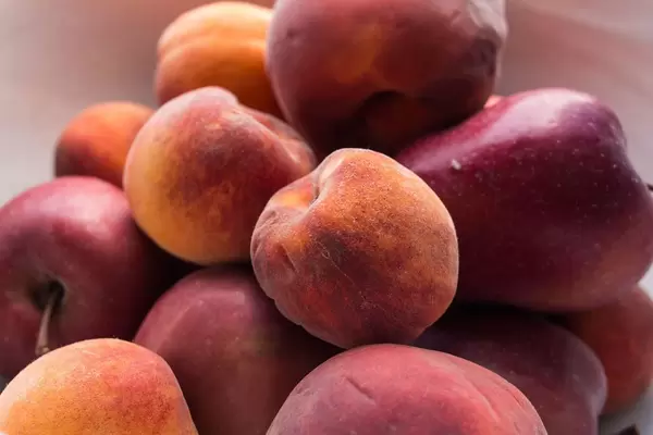 Apricots and Apples, Summer Fruits
