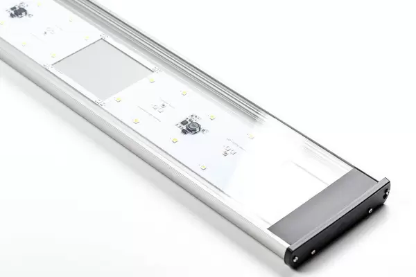 Aquarium Lampe zur Förderung des Algenwachstums auf weißem Hintergrund