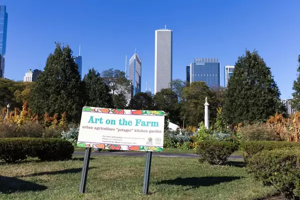 Art on the Farm: urbaner Gemüsegarten in Chicago