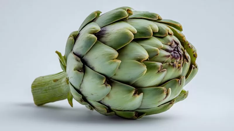 Artischocke auf weißem Hintergrund isoliert fotografiert