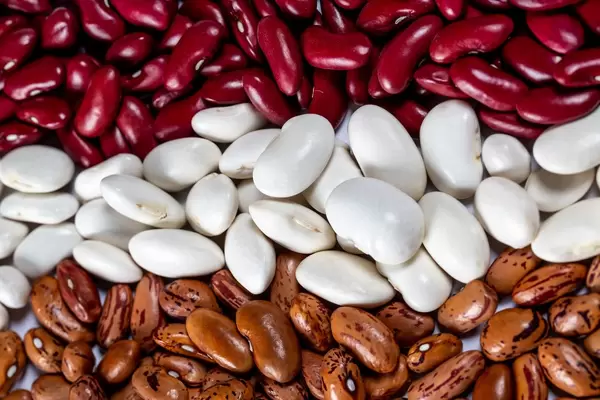Assortment of beans of different varieties