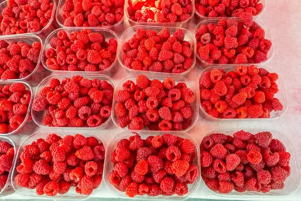 Auf dem Markt in Ljubljana, Slovenien - Himbeeren in Plastikschalen