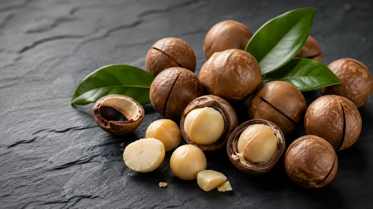 Aufgebrochene Macadamia-Nüsse auf dunklem Schieferstein