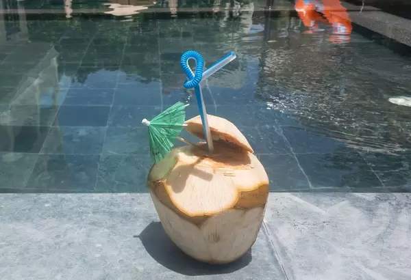 Aufgeschlagene Kokosnus zum Trinken