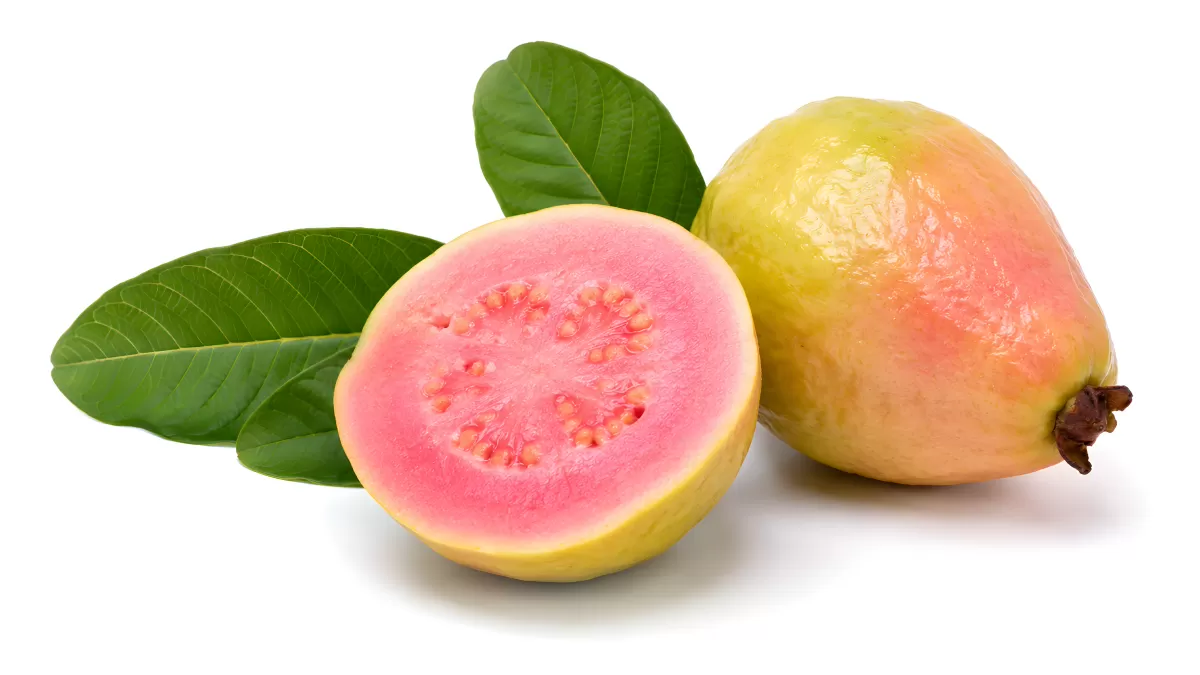 Aufgeschnittene Guave mit rosa Fruchtfleisch und Blättern