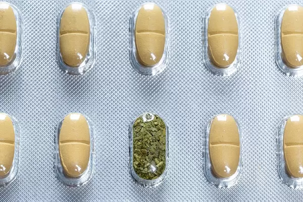 Aufnahme von oben eines Blisters mit Kapseln und pflanzlichen Stoffen in einer Kavität