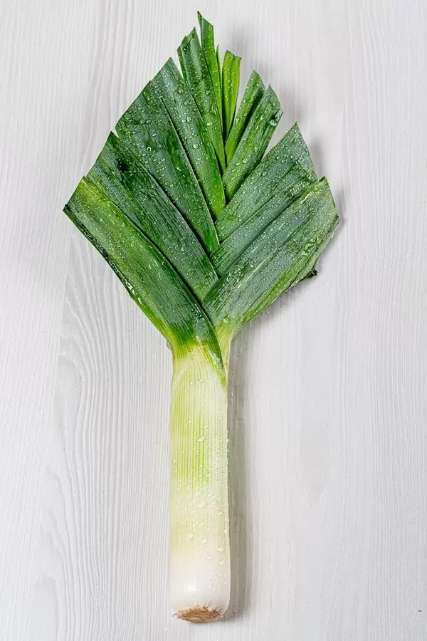 Aufnahme von oben von einem großen Porree auf einem Holztisch