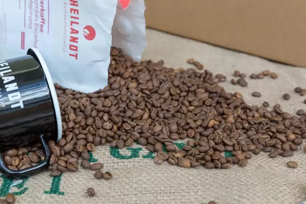 Aus Beutel ausgekippte, aromatisch geröstete Kaffeebohnen mit Kaffeetasse auf Jutesack