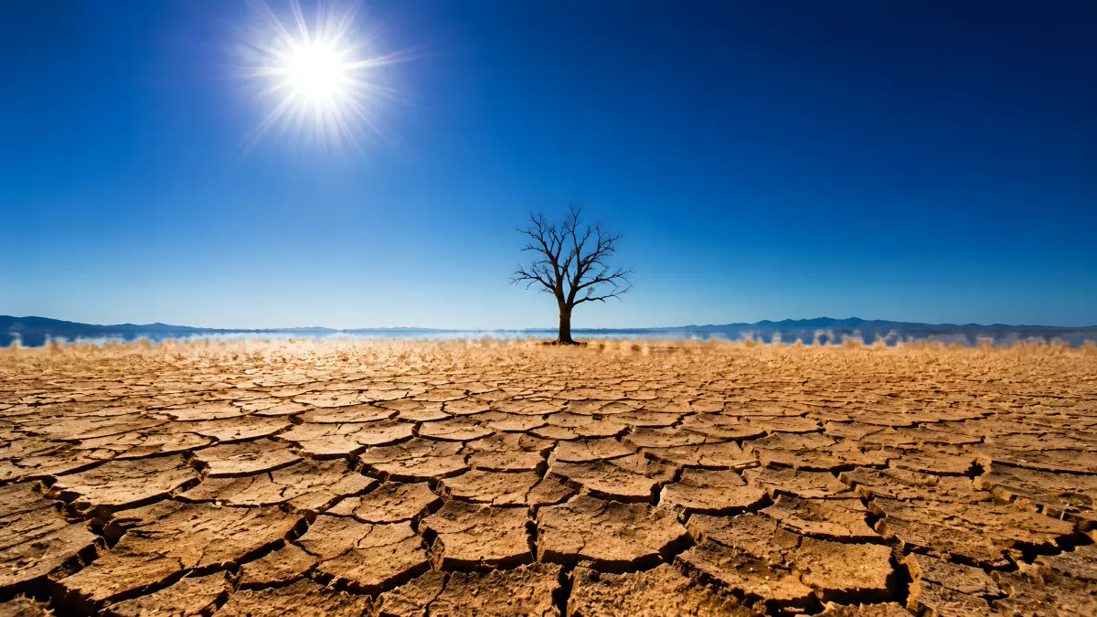 Ausgetrocknete Erde mit einsamen kahlen Baum unter Sonne