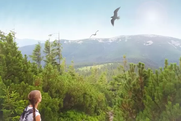 Aussicht In den Bergen