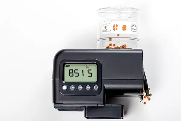 Automatic fish feeder for aquarium (Flip 2019)