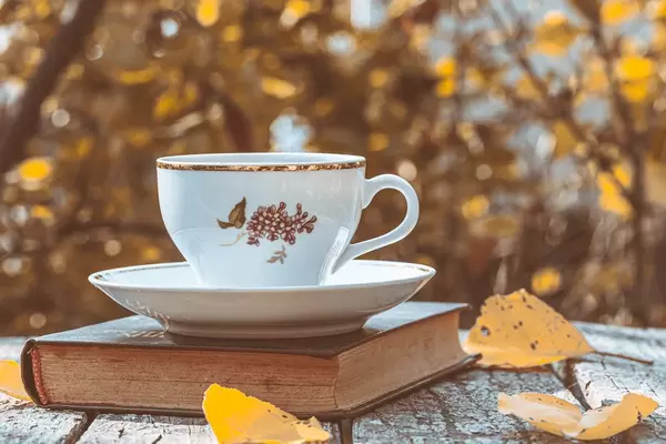 Autumn background with a book, a Cup of tea and leaves on the background of blurred autumn trees (Flip 2019)