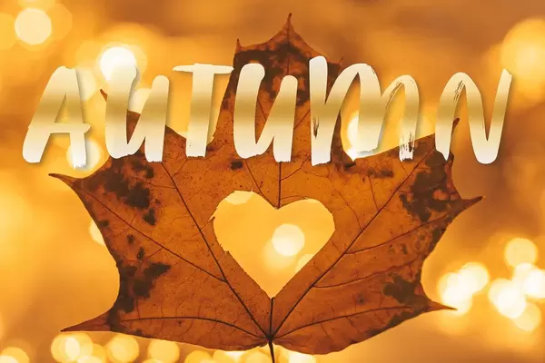 Autumn background with yellow leaf and golden bokeh