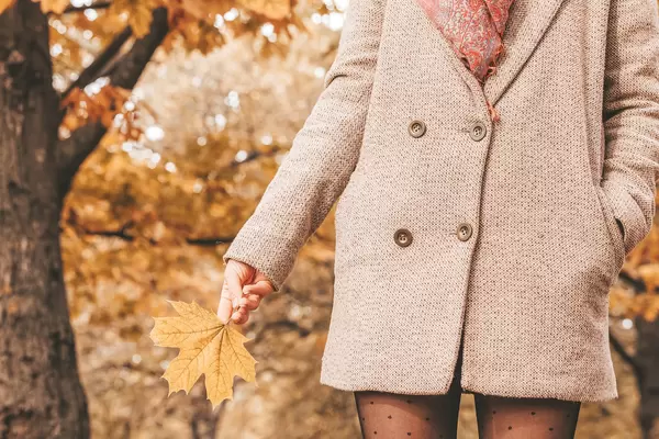 Autumn background with yellow leaves in hand