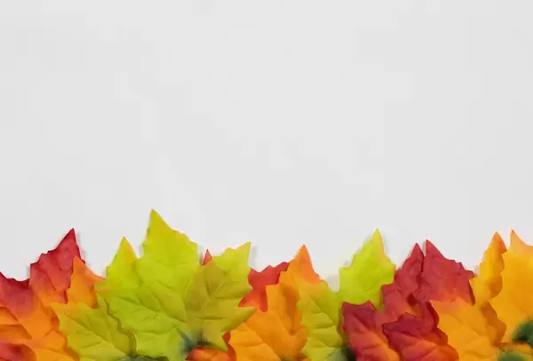 Autumn banner with leaves