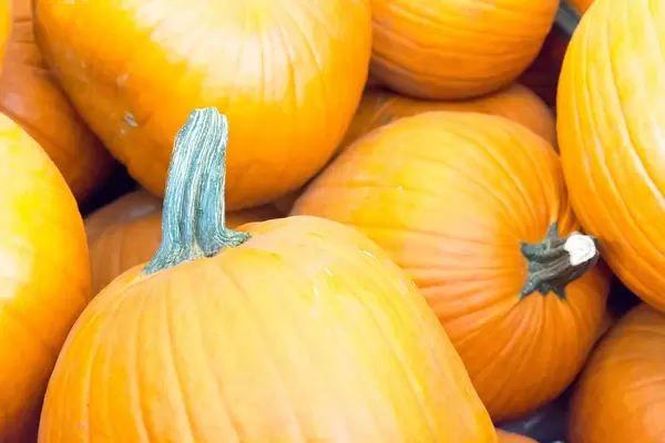 Autumn Color Pumpkins im Whole Foods Market
