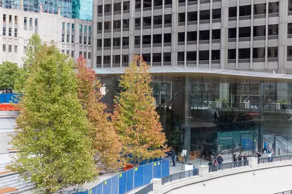 Autumn colors in Downtown Chicago: trees with reddish-green leaves between high-rise buildings at the Chicago Riverfront