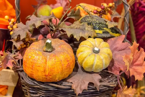 Autumn decoration for Halloween season with pumpkins and colorful leaves