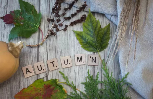 Autumn Letters with leafs in the Background Top View