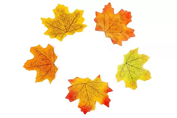 Autumn maple leaves made from fabric
