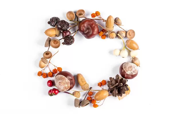 Autumn round frame with chestnuts, acorns and dry berries, top view