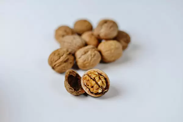 Autumn Walnuts on a white background