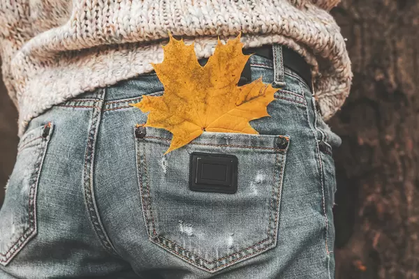 Autumnal nature atmosphere. Close up, maple leaf in the back pocket of jeans