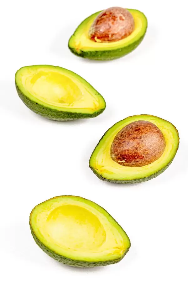 Avocado on white background