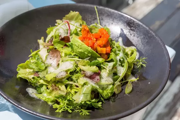 Avocado Salat Lamee Rooftop Bar mit Peperonata, Wiesenkräuter, Olivenöl Bubbles