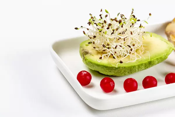 Avocado with micro-green onions and cranberries