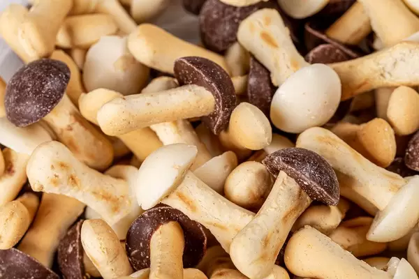 Background cookies in the form of mushrooms with chocolate (Flip 2020)