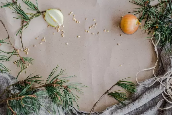 Background Of Pine Branches And Decors