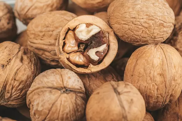 Background of ripe walnuts with shells