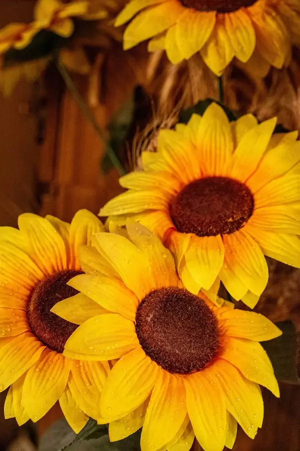 Background with a bouquet of yellow sunflowers