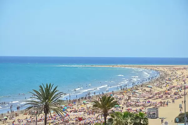 Badegäste am Sandstrand in Maspalomas, mit Palmen auf der kanarischen Insel