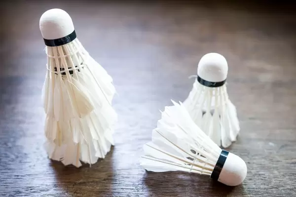Badminton shuttlecocks
