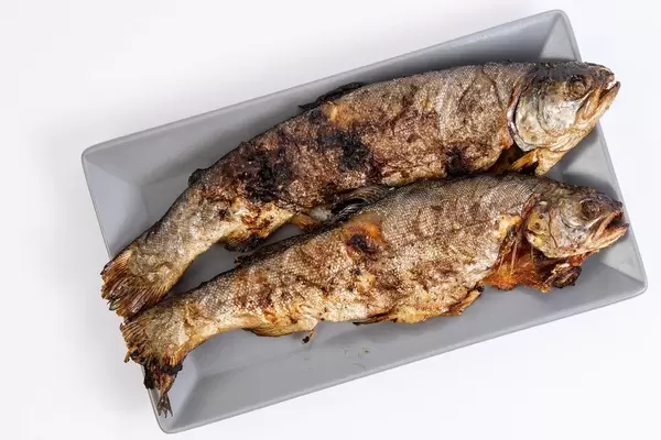 Baked Trout fish on the plate
