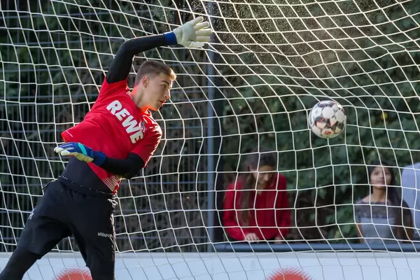 Ball im Tor, berührt das Netz